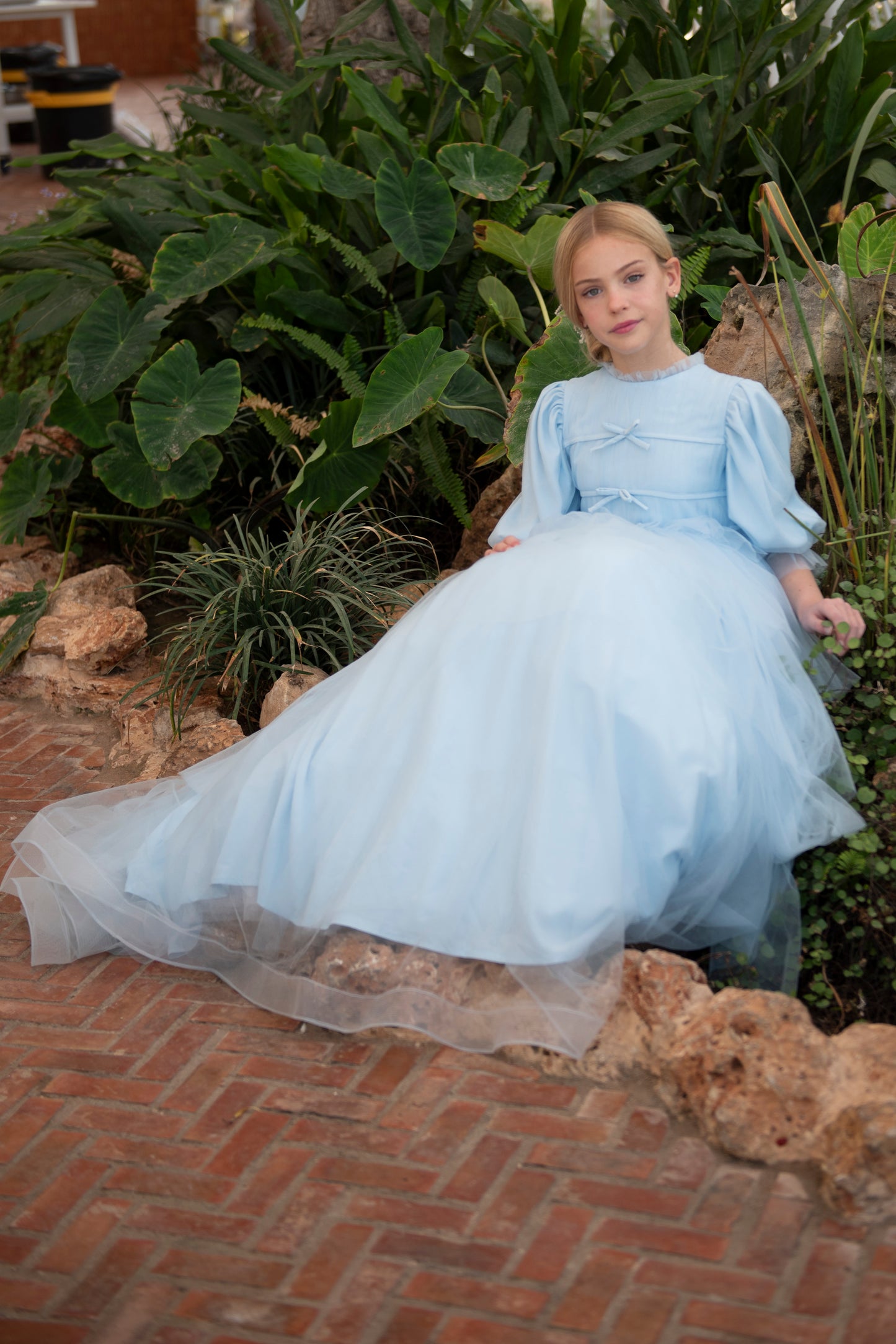 Celeste Charm Gown